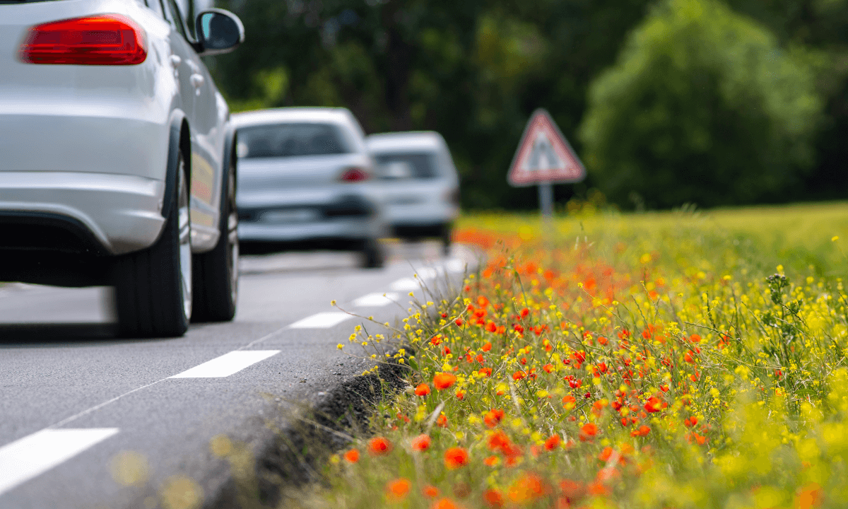 Spring into Good Foot Care: The Benefits of a Springtime Foot